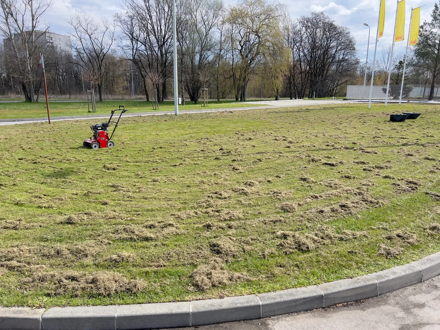 wertykulator na trawniku po wykonanej pracy